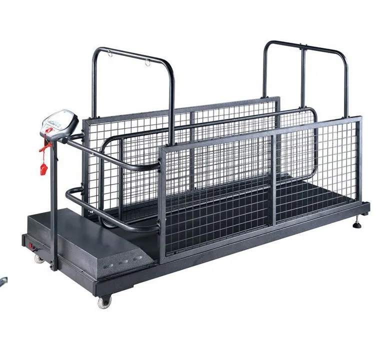 Bieżnia dla psa do użytku domowego