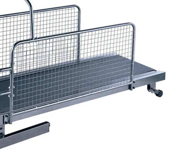 Bieżnia dla psa do użytku domowego