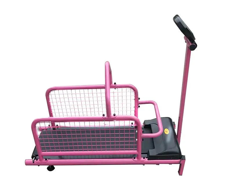 Maszyna do treningu biegania dla psów