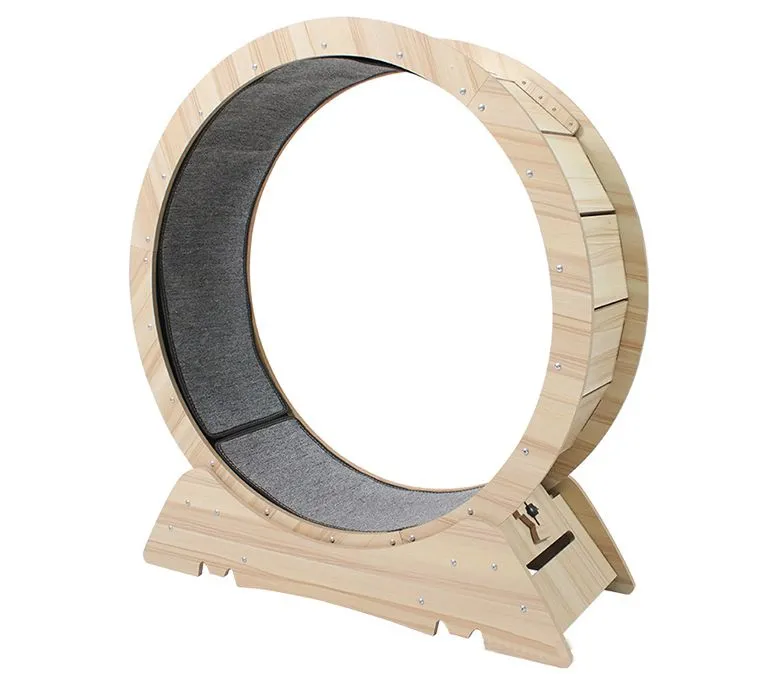 Bieżnia do ćwiczeń dla kota