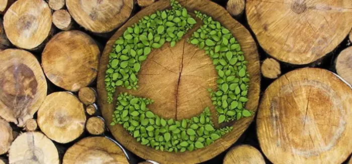 Zrównoważony materiał