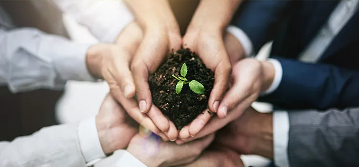 Odnawialne źródła energii